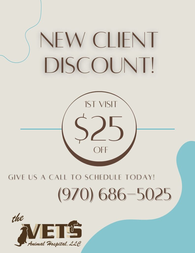 new client coupon